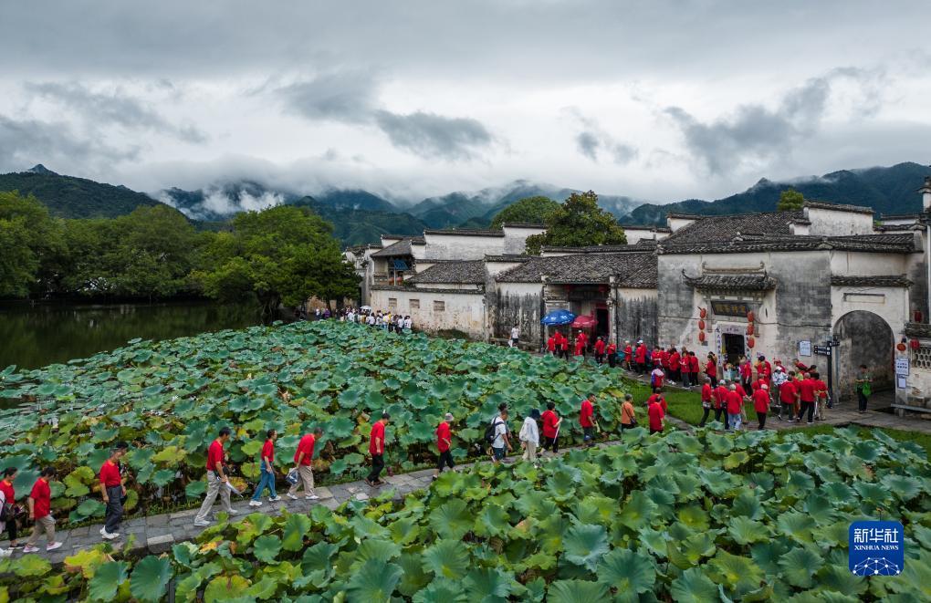 柬埔寨金贝集团